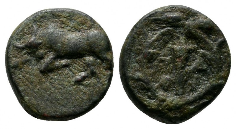 Mysia, Parion. (c.3rd century BC.) Æ (11mm-1,57g). Bull butting left. / Π-I / P-...