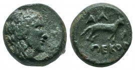 Thrace, Alopeconnesos (c.400-300 BC.) Æ (12mm-2,34g). Laureate head of Apollo right. / AΛ[Ω] / ΠEKON. Fox standing right; barley grain to right. Yarki...