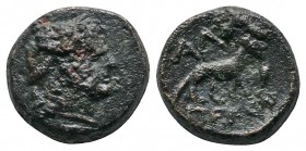 Thrace, Alopeconnesos (c.400-300 BC.) Æ (12mm-2,46g). Laureate head of Apollo right. / AΛΩ - ΠEKON. Fox standing right; barley grain to right. Yarkin,...