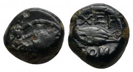 Thrace, Chersonesos (c.386-309 BC.) Æ (10mm-2,02g). Head of lion left / XEPPO. Barley grain. SNG Copenhagen 844-6.