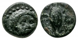 Thrace, Chersonesos (c.4th BC.) Æ (10mm-1,45g). Head of Demeter, three-quarters facing to right, wearing earring and necklace / XEΡ-ΡO. Barley corn, b...