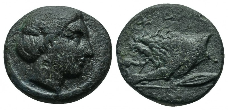 Thrace, Kardia (c.357-309 BC.) Æ (16mm-3,93g). Head of Demeter to right. / ΚΑΡΔΙ...