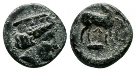 Troas, Zeleia (c.4th century BC.) Æ (13mm-1,64g). Head of Artemis right, wearing stephane / Stag standing right; below, grain ear right. SNG Copenhage...