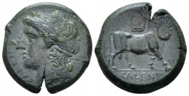 Campania , Cales Bronze circa 265-240, Æ 21.00 mm., 7.39 g.
Laureate head of Apollo l. Rev. Man-headed bull standing r., head facing; lyre above. Sam...