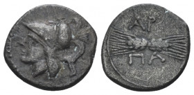 Apulia, Arpi Triobol circa 215-212, AR 12.60 mm., 1.09 g.
Helmeted head of Athena l. Rev. Two grain ears, shown back to back in the form of a thunder...