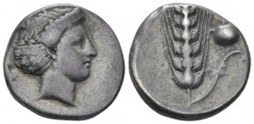 Lucania, Metapontum Nomos circa 400-340, AR 20.00 mm., 7.53 g.
Head of Demeter r., wearing sphendone and earring. Rev. Ear of barley, a leaf on r. wi...