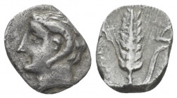 Lucania, Metapontum Diobol circa 325-275, AR 10.00 mm., 0.96 g.
Head of Apollo Carneius l. Rev. Ear of barley, with plough on leaf. SNG ANS 523. John...