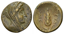 Lucania, Metapontum Bronze circa 280-250, Æ 15.00 mm., 2.47 g.
Veiled head Demeter r. Rev. Ear of barley with leaf on l. Historia Numorum Italy 1693....