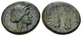 Lucania, Metapontum Bronze circa 225-200, Æ 18.00 mm., 5.00 g.
Wreathed head of Demeter r. Rev. Two grain ears. Johnston, Bronze 79; Historia Numorum...