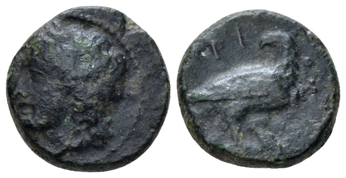 Sicily, Agrigentum Bronze circa 287-279, Æ 14.00 mm., 2.80 g.
Laureate head of ...