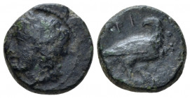 Sicily, Agrigentum Bronze circa 287-279, Æ 14.00 mm., 2.80 g.
Laureate head of Apollo l. Rev. Eagle standing r., looking back. Calciati 119. SNG ANS ...
