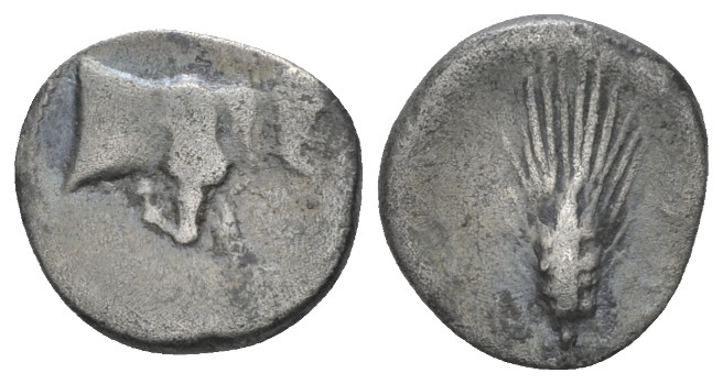Sicily, Gela Trihemiobol circa 415-405, AR 11.70 mm., 1.14 g.
Forepart of man-h...