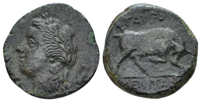 Sicily, Tauromenium Bronze circa 275-216/2, Æ 17.00 mm., 3.37 g.
Laureate head ...
