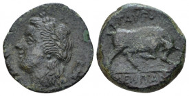 Sicily, Tauromenium Bronze circa 275-216/2, Æ 17.00 mm., 3.37 g.
Laureate head of Apollo l. Rev. Bull butting r. Calciati 9.

Rare, Very Fine.