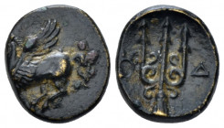 Acarnania, Leucas Bronze circa 350-250, AR 12.80 mm., 1.94 g.
Pegasus flying l. Rev Head of trident. BMC 144.

Very fine