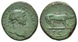 Trajan, 98-117 Quadrans Rome circa 109-117, Æ 18.00 mm., 3.06 g.
Laureate bust r., with drapery on l. shoulder. Rev. She-wolf standing r. RIC 692.
...