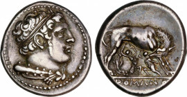 Roman Republic
Anonymous Issues in Didrachm System
Didracma. Acuñada el 270-265 a.C. ANÓNIMO. ROMA. Anv.: Cabeza diademada de Hércules, debajo garro...