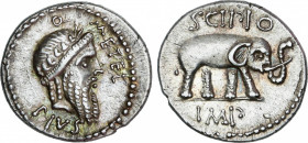 Roman Republic
Caecilia
Denario. 47-46 a.C. CAECILIA. Q. Caecilius Metellus Pius Scipio. África. Anv.: Cabeza laureada de Júpiter a derecha. Q. METE...