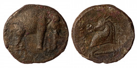 SELEUKID KINGS OF SYRIA, Seleukos I Nikator, 312-281 BC. (Bronze, 7.11 g, 20.50 mm), Apamea-on-the-Orontes, circa 300-281 BC. Elephant standing right....