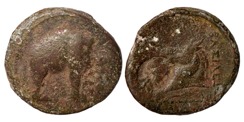 SELEUKID KINGS OF SYRIA, Seleukos I Nikator, 312-281 BC. (Bronze, 7.98 g, 20 mm)...