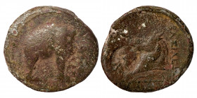 SELEUKID KINGS OF SYRIA, Seleukos I Nikator, 312-281 BC. (Bronze, 7.98 g, 20 mm), Apamea-on-the-Orontes, circa 300-281 BC. Elephant standing right. Re...