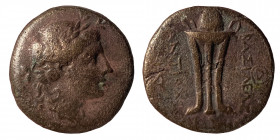SELEUKID KINGS OF SYRIA. Antiochos II Theos 261-246 BC. AE (Bronze, 6.19 g, 19 mm), Antioch. Laureate head of Apollo right. Rev. ΒΑΣΙΛΕΩΣ ΑΝΤΙΟΧΟΥ, tr...