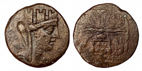 SYRIA, Seleukis and Pieria. Seleukeia Pieria. Time of Titus, 79-81. Æ (Bronze, 6.88 g, 20 mm), struck under the magistrate L. Ceionius Commodus. [HΠP ...