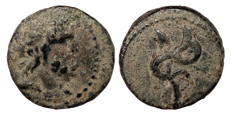 SYRIA, Seleucis and Pieria. Antioch . 2nd century AD. Tessera (Bronze, 3.56 g, 1...