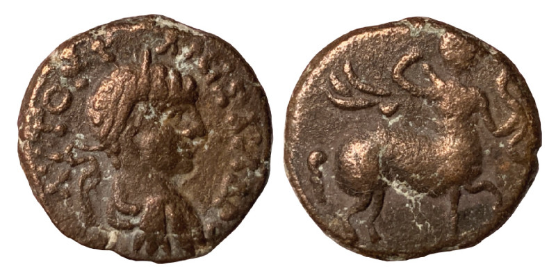 MESOPOTAMIA, Rhesaena. Severus Alexander, 222-235. Æ (bronze, 3.51 g, 16mm). AVT...
