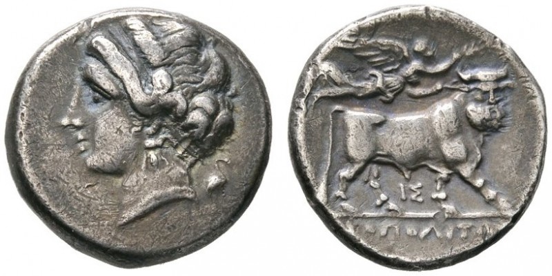 Kampania. Neapolis. Didrachme 325-241 v. Chr. Nymphenkopf (Parthenope) mit Ohrri...