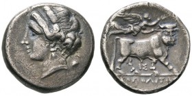 Kampania. Neapolis. Didrachme 325-241 v. Chr. Nymphenkopf (Parthenope) mit Ohrring und Halskette nach links, dahinter Storch / Androkephaler Stier nac...