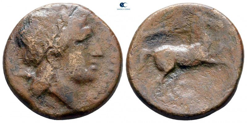 Apulia. Salapia circa 225-210 BC. 
Bronze Æ

22 mm, 7,56 g



fine