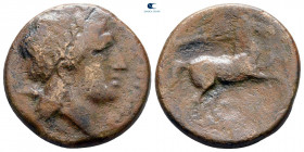 Apulia. Salapia circa 225-210 BC. Bronze Æ