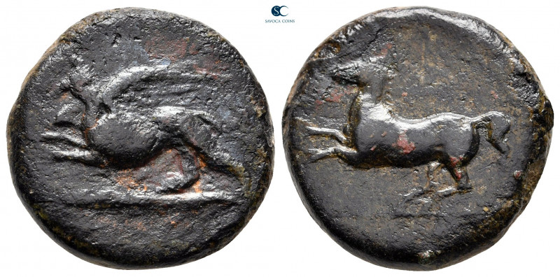 Sicily. Kainon circa 360-340 BC. 
Bronze Æ

23 mm, 9,92 g



very fine