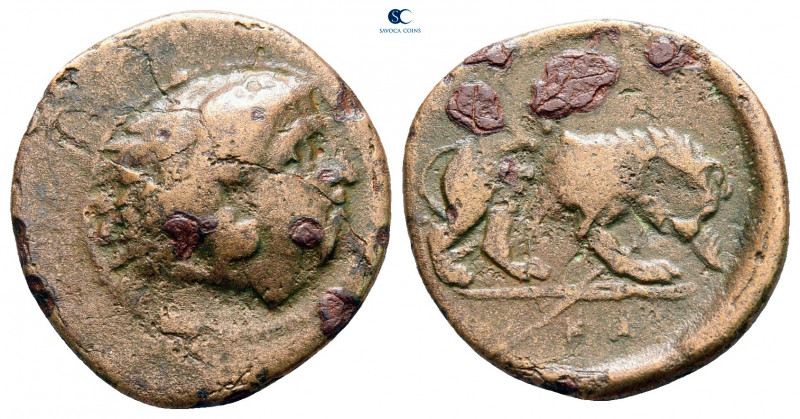 Kings of Macedon. Uncertain mint. Perdikkas II 451-413 BC. 
Bronze Æ

19 mm, ...