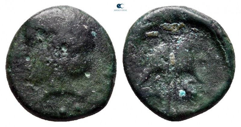 Thrace. Apollonia Pontica circa 225-190 BC. 
Bronze Æ

10 mm, 1,23 g



n...
