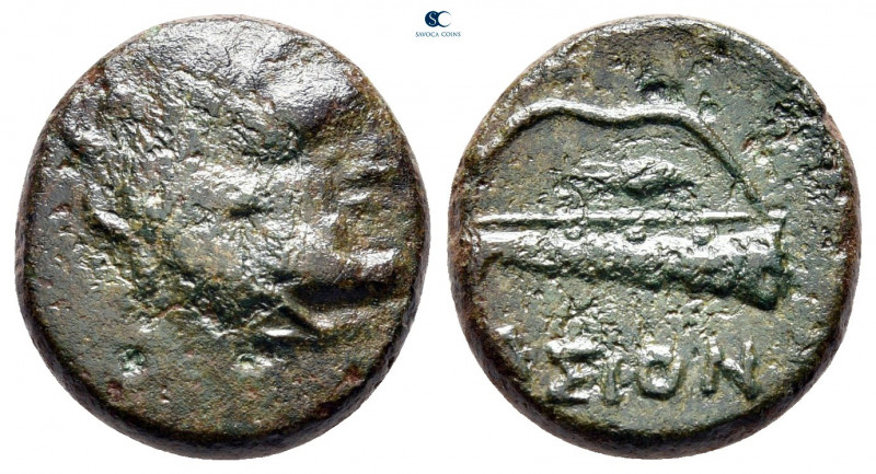Islands off Thrace. Thasos circa 390-335 BC. 
Bronze Æ

16 mm, 3,60 g



...