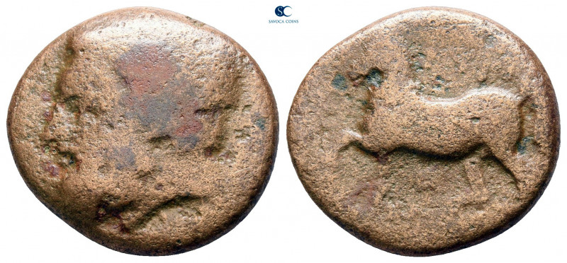 Thessaly. Gyrton circa 300-250 BC. 
Bronze Æ

20 mm, 6,67 g



fine