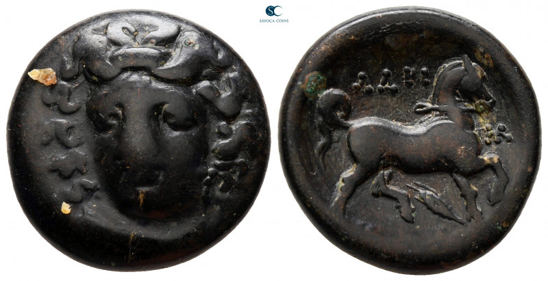 Thessaly. Larissa circa 356-337 BC. 
Tetrachalkon Æ

21 mm, 8,17 g



nea...