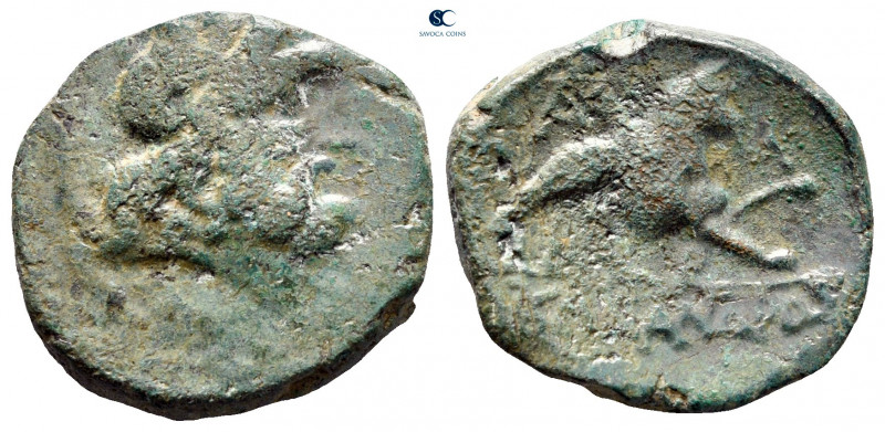 Epeiros. Ambrakia circa 200-100 BC. 
Bronze Æ

20 mm, 7,07 g



fine