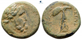 Seleukid Kingdom. Achaios 220-214 BC. Bronze Æ