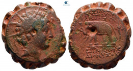 Seleukid Kingdom. Antioch on the Orontes. Antiochos VI Dionysos 144-142 BC. Serrate Æ