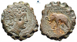 Seleukid Kingdom. Antioch on the Orontes. Antiochos VI Dionysos 144-142 BC. Serrate Æ