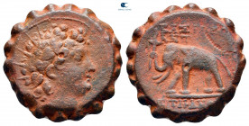 Seleukid Kingdom. Antioch on the Orontes. Antiochos VI Dionysos 144-142 BC. Serrate Æ
