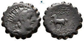 Seleukid Kingdom. Antioch on the Orontes. Antiochos VI Dionysos 144-142 BC. Serrate Æ