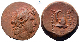 Seleukid Kingdom. Antioch on the Orontes. Tryphon 142-138 BC. Bronze Æ