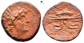 Seleukid Kingdom. Antioch. Antiochos VIII Epiphanes Grypos 121-97 BC. Bronze Æ