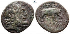 Seleucis and Pieria. Apameia circa 100-0 BC. Bronze Æ