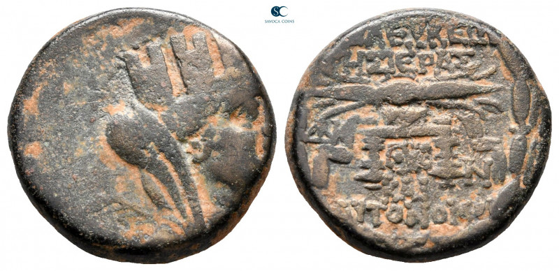 Seleucis and Pieria. Seleukeia Pieria circa 100-0 BC. 
Bronze Æ

19 mm, 6,67 ...