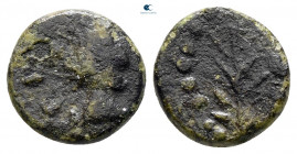 The Vandals. Uncertain North African mint AD 500-600. Nummus Æ